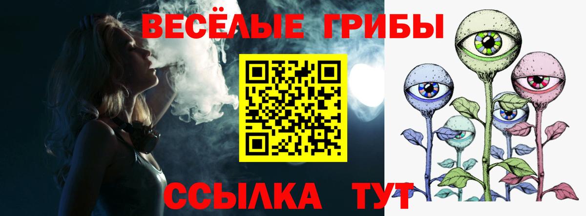 Псилоцибиновые грибы GOLDEN TEACHER Минеральные Воды