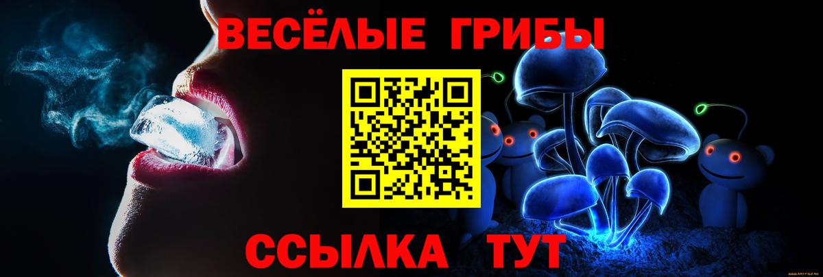 где купить   Вход с VPN  Минеральные Воды  Псилоцибиновые грибы MAGIC MUSHROOMS 